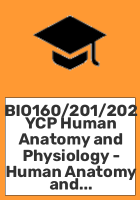 BIO160_201_202_YCP_Human_Anatomy_and_Physiology_-_Human_Anatomy_and_Physiology